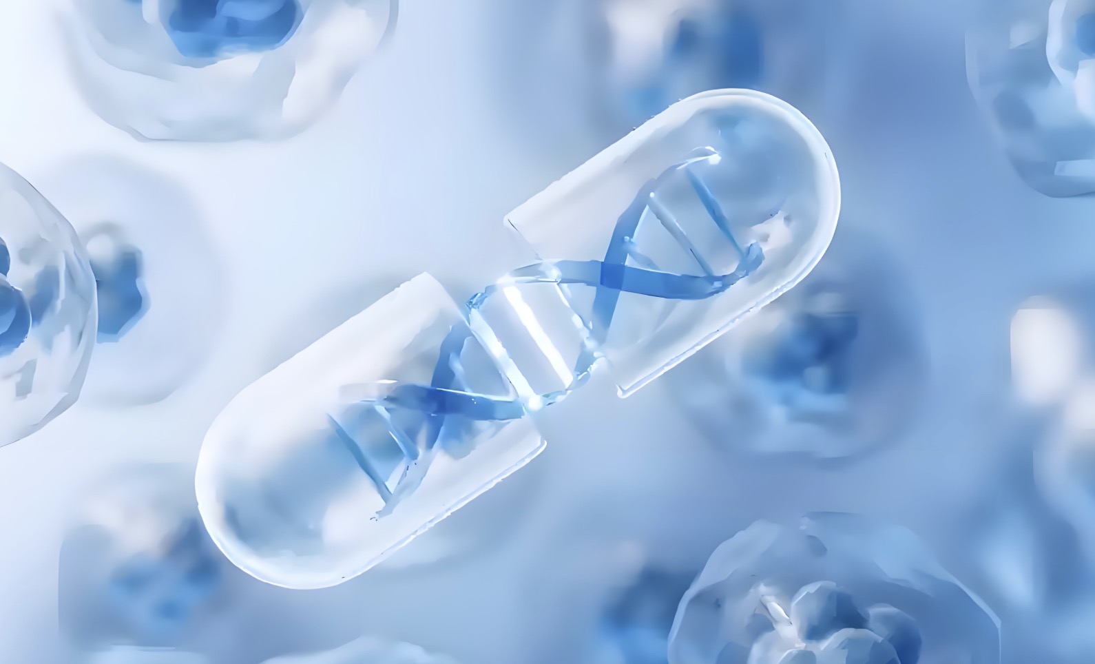 加快构建新发展格局，牢牢把握发展主动权——论学习贯彻党的二十届四中全会精神